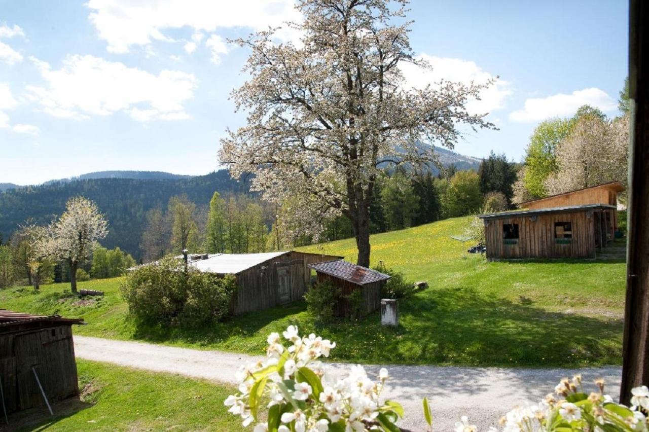 Affittacamere Landhof Steinhuette Bayerisch Eisenstein Esterno foto